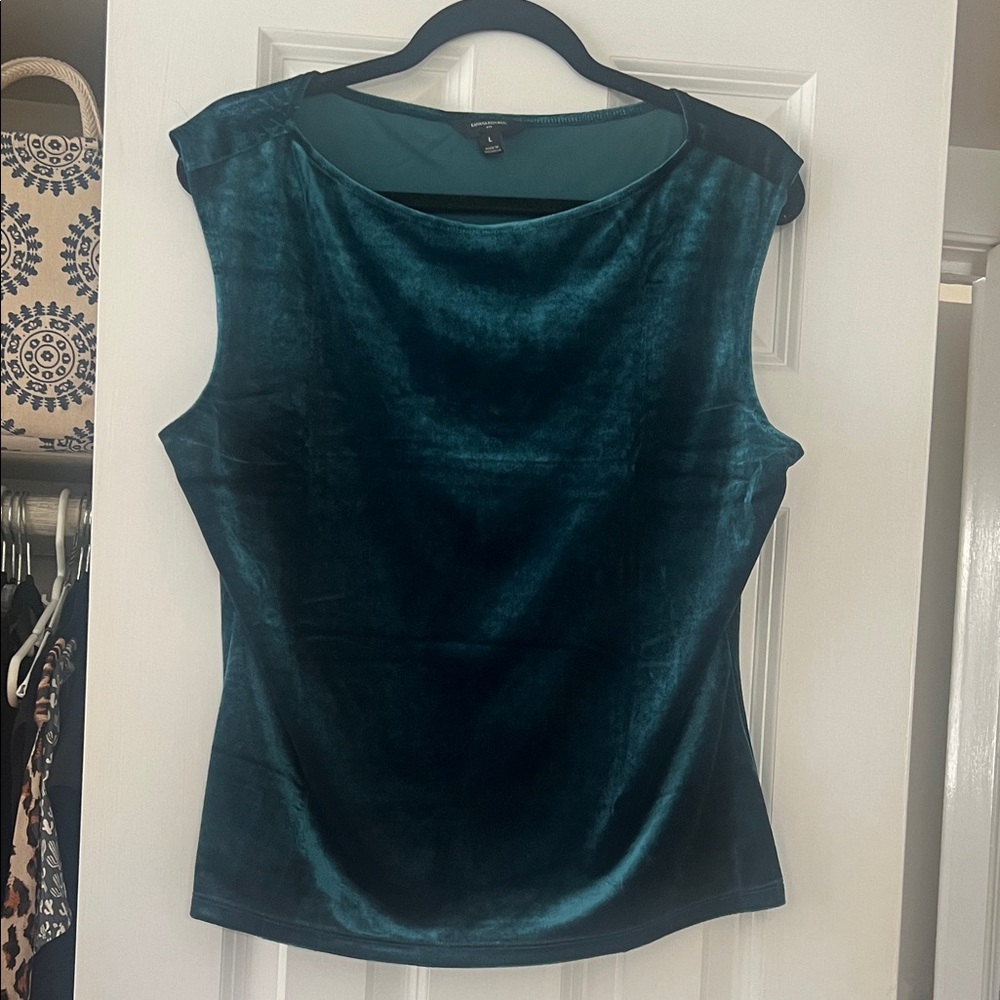 Banana Republic Deep Teal Velvet Blouse